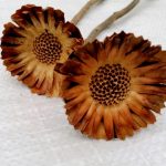 8310e712-2106-404b-9f79-2693b5fc03e4