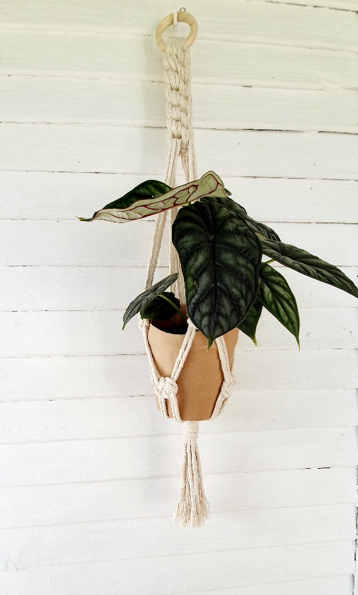 95357513-3722-4813-9515-5368412725b2(3)