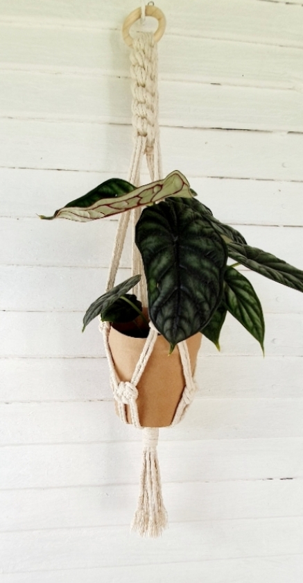 d0e7fadd-a31f-4985-bd48-36a3d6ba5515(1)