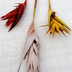 22286262-a565-4e87-a67b-a03bb0053b74