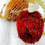 a09ecf83-510b-4401-81a1-6c2b5c2e6101