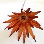 ac372fe7-7c2c-4443-a498-48e00a7c0d11