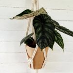 d0e7fadd-a31f-4985-bd48-36a3d6ba5515