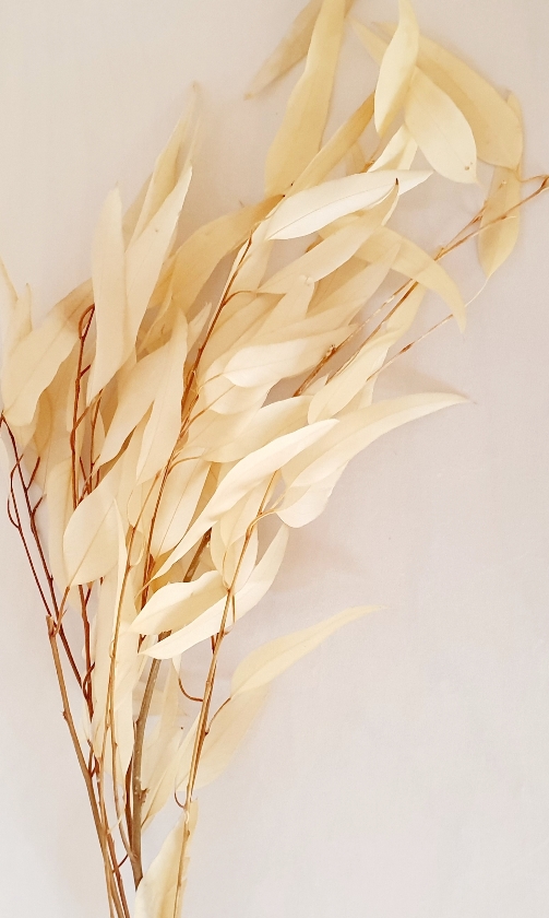 126f8735-5414-4828-8139-56e425255c95