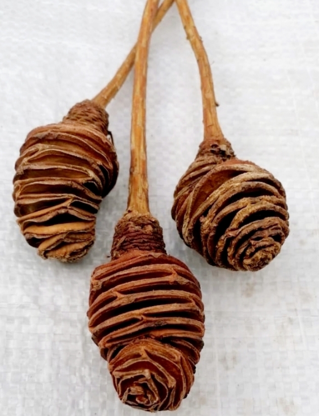 27373c49-932e-4df6-82b1-5163cbca9339