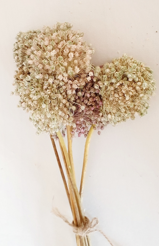 338e5683-8a18-4afd-b22b-8556f2b73931