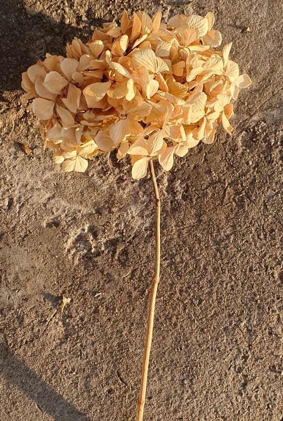 3b1be6b0-d631-4bc1-ba12-182a4c9af8b4