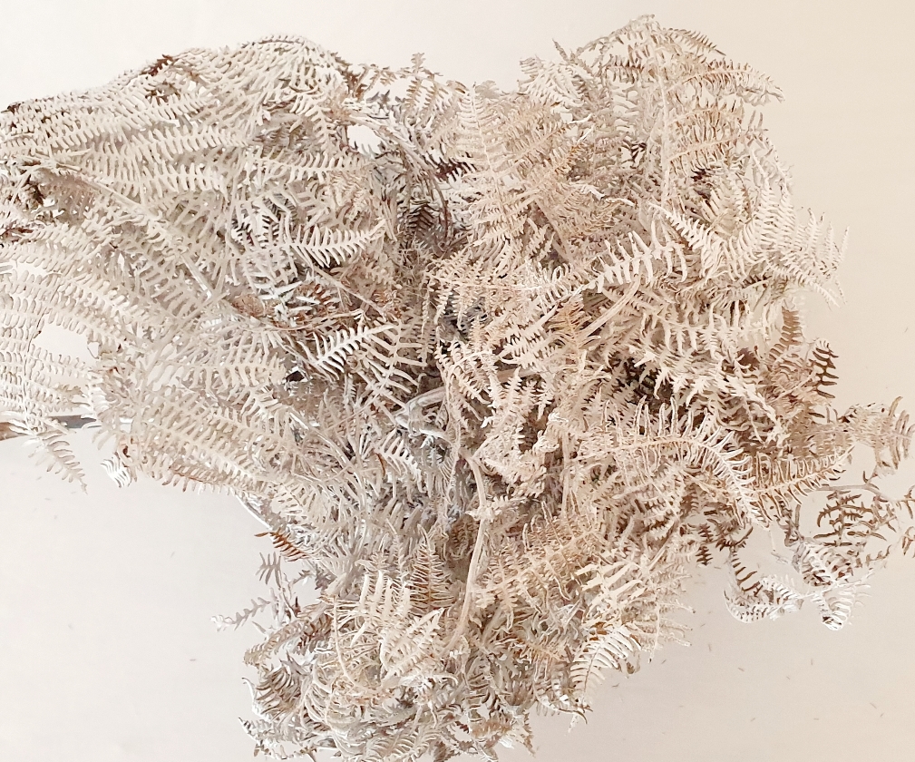 3d161a7b-0524-41e1-be98-b8f0837efaf8