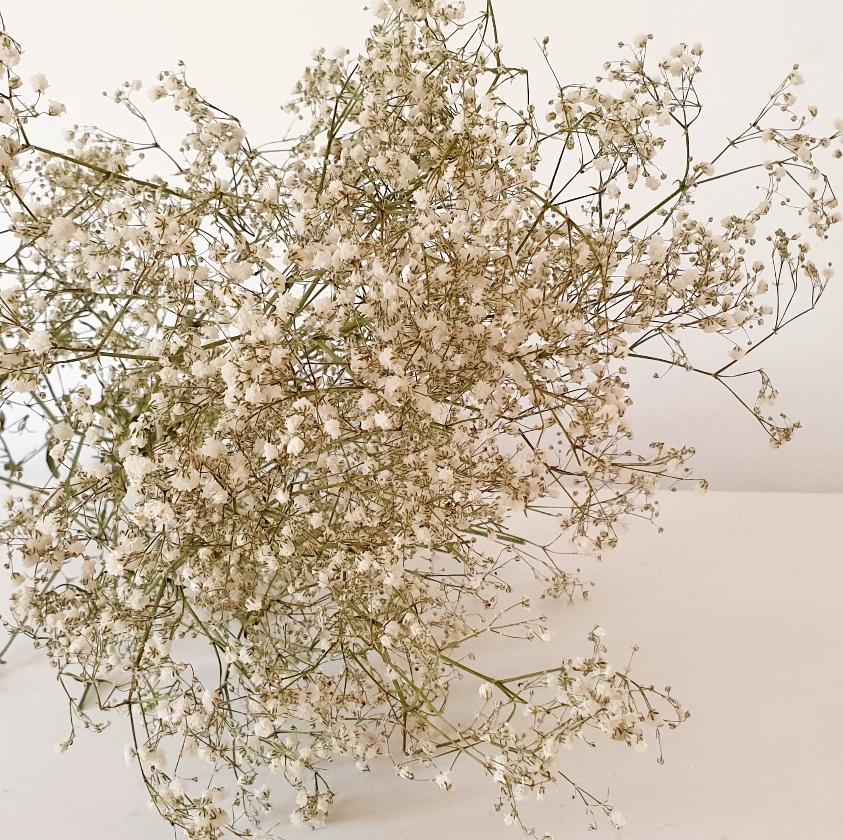 461aab70-c7aa-4558-88c3-4c8e2580d2ef