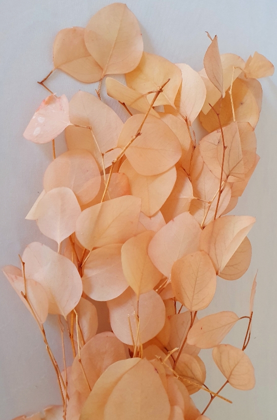 4c439b0f-6ee2-4631-963f-56b1f235cccf