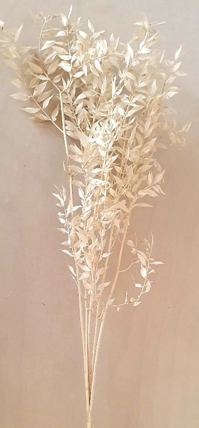 4d5140de-684c-41b7-b1af-a9b5c7c84630