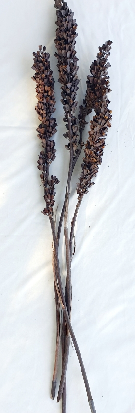 5d38906b-2116-42aa-8632-0a3f1622bd0f