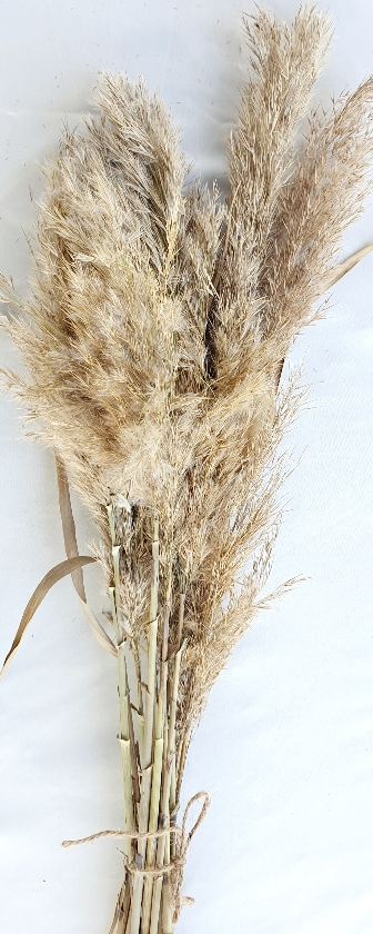 8353b9d2-9e51-4e79-a142-5c3922e6a42e