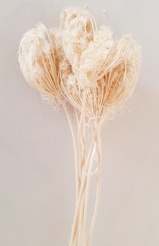 9a86eeee-deea-4607-a7aa-93bcbe626932