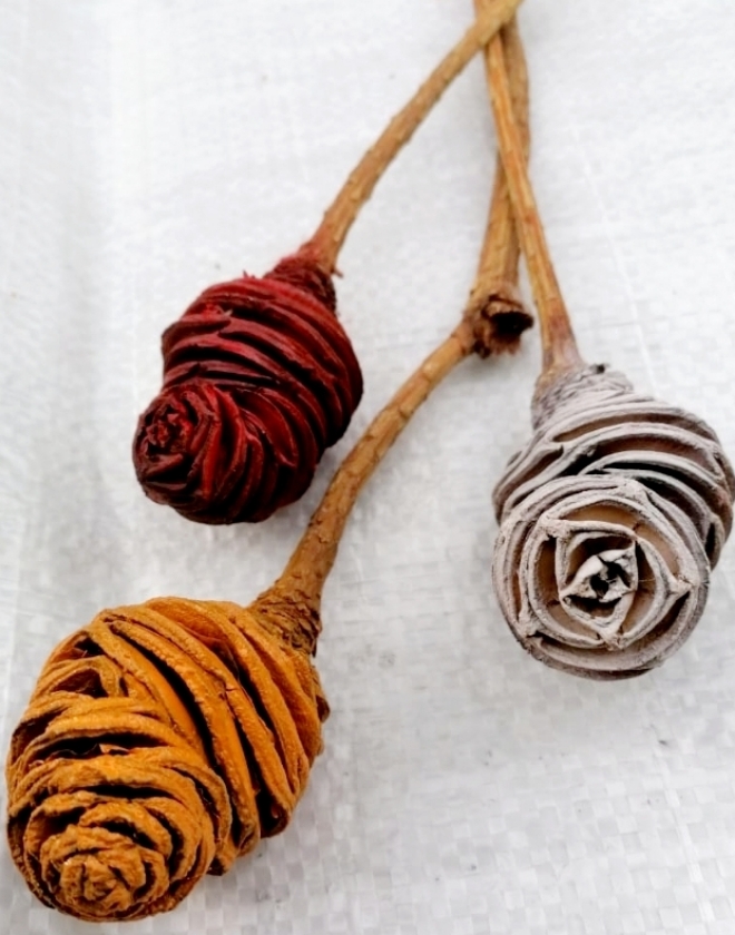 aab38ce9-683d-429a-8f75-c37fffdcf58c